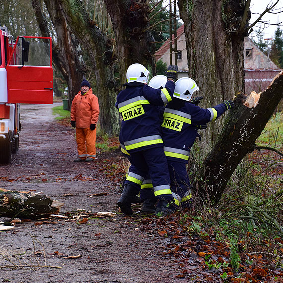 Wichura nad powiatem kamieńskim. Strażacy interweniowali już 12 razy
