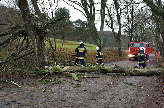 Wichura nad powiatem kamieńskim. Strażacy interweniowali już 12 razy