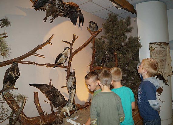 Woliński Park Narodowy obejmuje patronat edukacyjny nad Domem Wczasów Dziecięcych w Międzyzdrojach