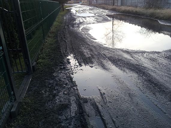 W Płocinie jak w Wenecji
