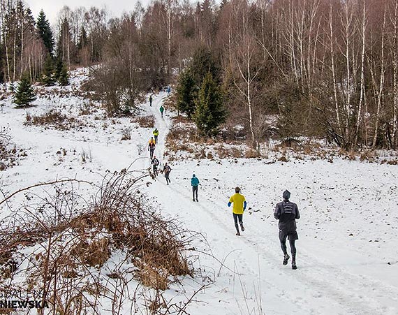 Wilcze Gronie – zima na biegowo po beskidzku. 15 km w Rajczy