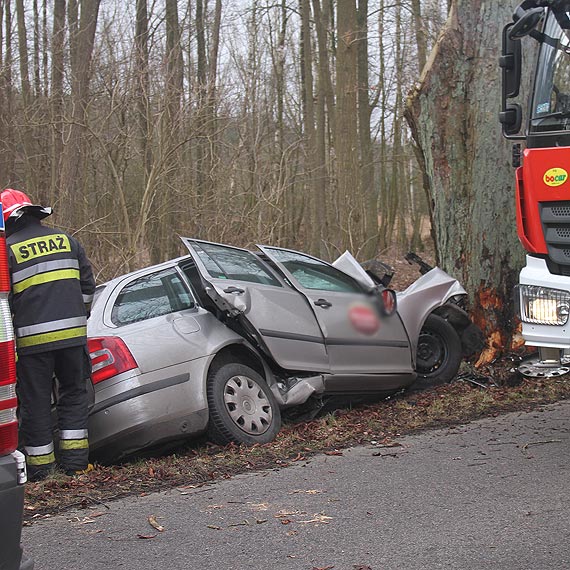 Grony wypadek koo Mokrawicy. Kobieta uderzya w drzewo
