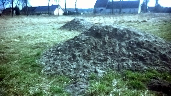 Dziki plac zabaw zagubiony wśród traw...