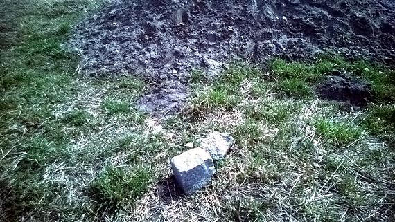 Dziki plac zabaw zagubiony wśród traw...