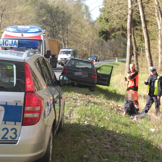 Skasowa znaki drogowe, by potem osi w rowie. Trafi do policyjnego aresztu
