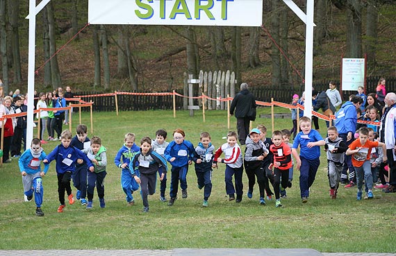 XX Wiosenne Biegi Przełajowe pod hasłem „Żyjemy zdrowo i na sportowo”. Zobacz fotogalerię!