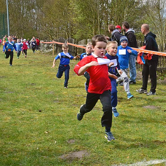 XX Wiosenne Biegi Przełajowe pod hasłem „Żyjemy zdrowo i na sportowo”. Zobacz fotogalerię!