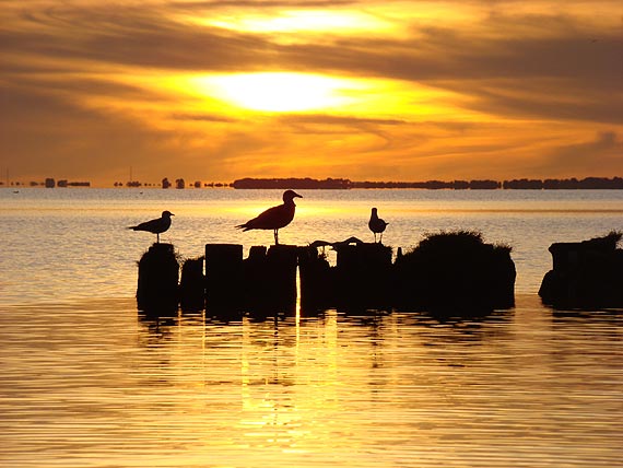 Kolejny album Krzysztofa Chomicza! Świnoujście- Wodna kraina już w księgarni!