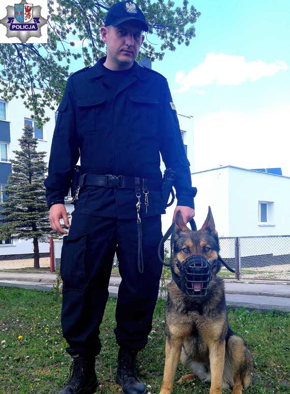 "JOL" oraz "IM" czyli policjanci na czterech łapach