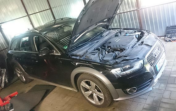 Namierzyli dziuplę i odzyskali luksusowe audi