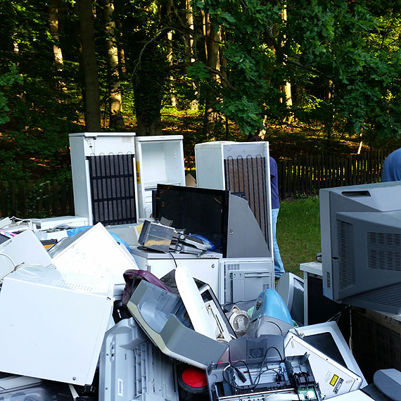 Akcja kwiatki za elektroodpadki zakończona sukcesem