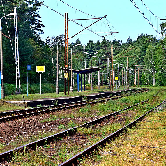 Wodecki śpiewał o golasach w Chałupach, a my mieliśmy Lubiewo