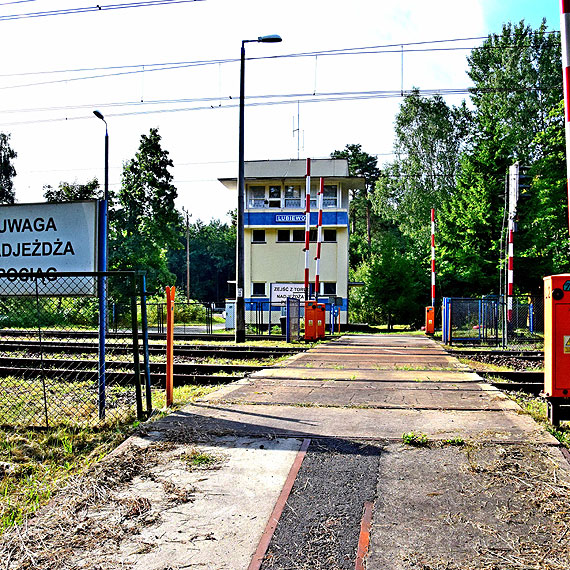 Wodecki śpiewał o golasach w Chałupach, a my mieliśmy Lubiewo