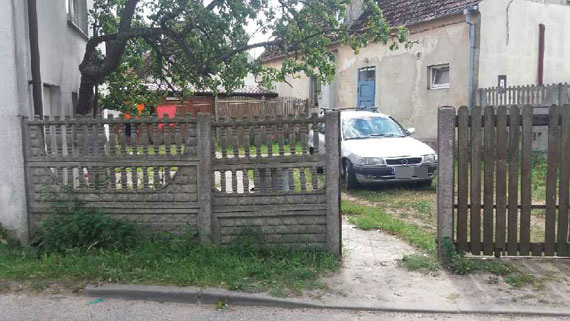 W Dargobądzu psy zaatakowały kobietę. Mieszkańcy obawiają się o swoje życie