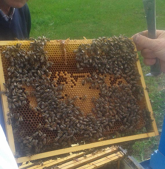 Warsztaty Kubusia Puchatka w Ostromicach