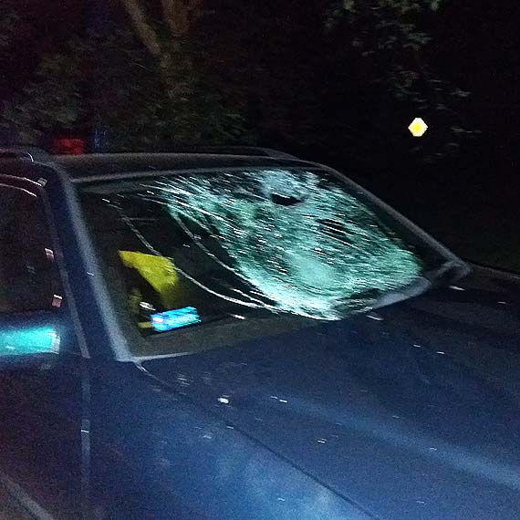 W Rekowie rowerzysta na gazie wjechał pod samochód
