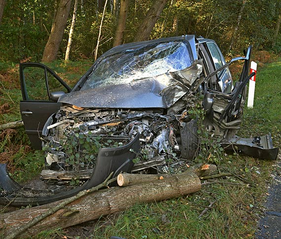 22-letni mieszkaniec Midzyzdrojw, jadcy w stron winoujcia, nagle zjecha z drogi i uderzy w drzewo