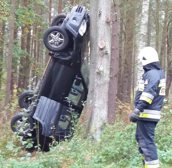 Kolizja na drodze wojewdzkiej 102. Ciemna honda wpada na drzewo