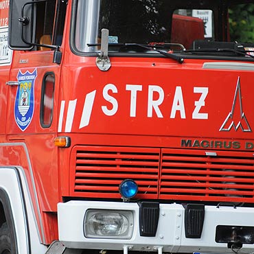 Dziakowicz postawi na nogi straakw