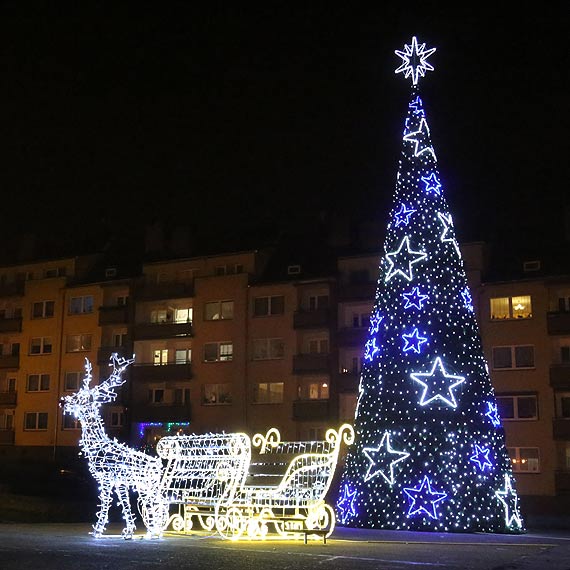 Lodowa choinka stana przed kamieskim Ratuszem