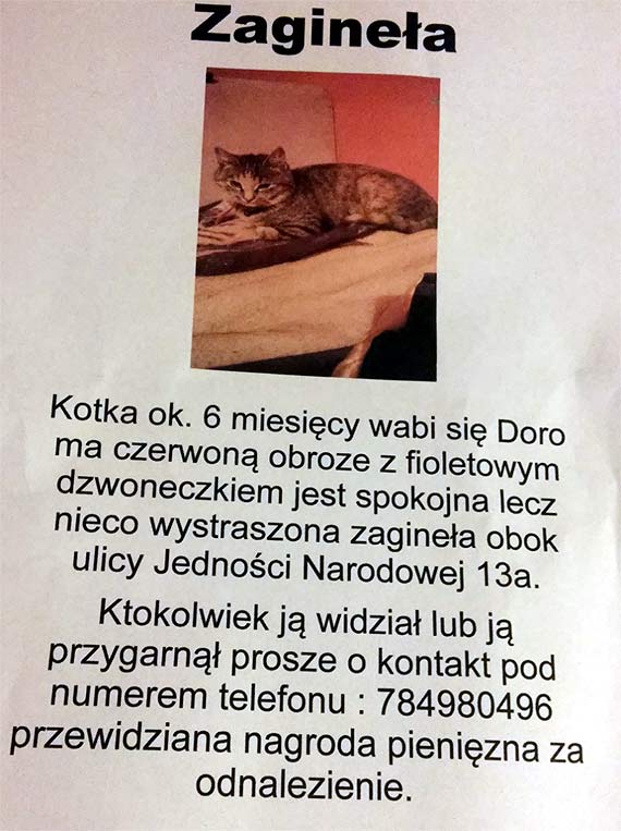 Pomóżmy odnaleźć Doro