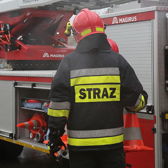 Drzewo spado na DK3 koo Lubiewa