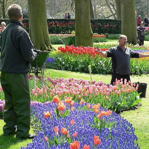 Królestwo tulipanów otworzyło swoje podwoje!