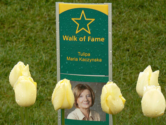 Królestwo tulipanów otworzyło swoje podwoje!