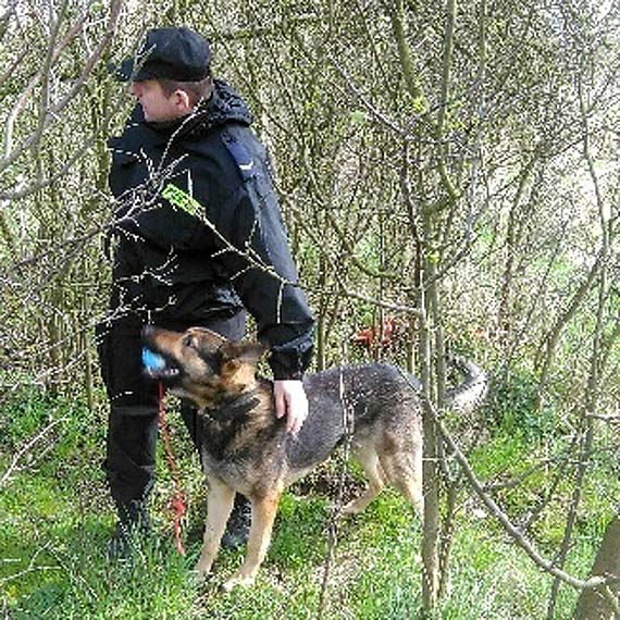 Dzielnicowi zatrzymali sprawc kradziey z wamaniem