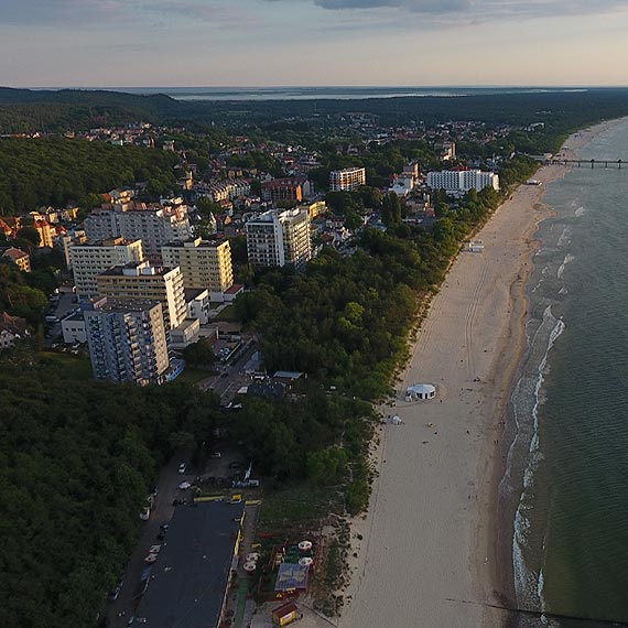 Zmieniaj prawo, ale drzew ju nie ma