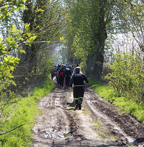 VI edycja Majowego Marszu po zdrowie – relacja	