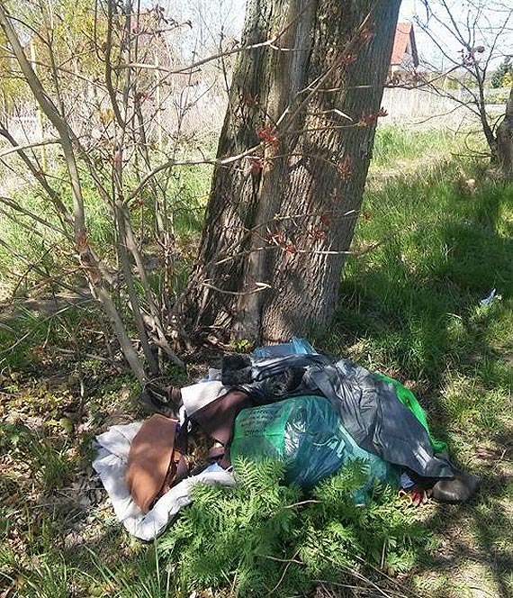 Dlaczego Droga Dbowa staa si wysypiskiem?