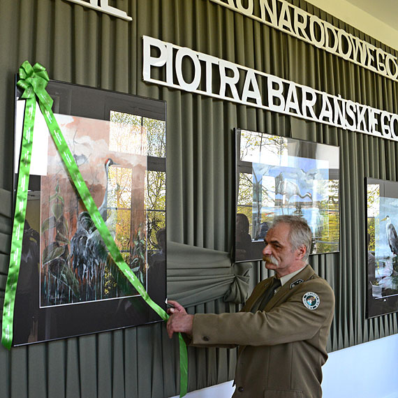 Ptaki na obrazach - wystawa malarstwa Piotra Barańskiego