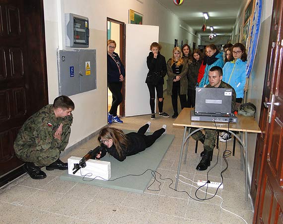 Sosnowiec w Dziwnowie