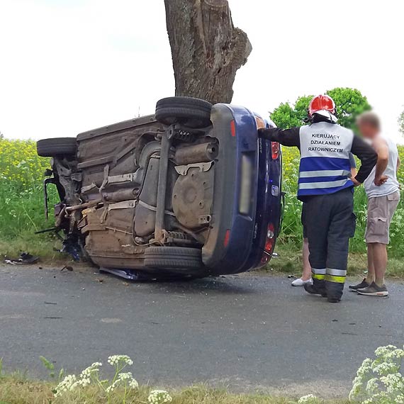 Pod Gostyniem Seat na drzewie