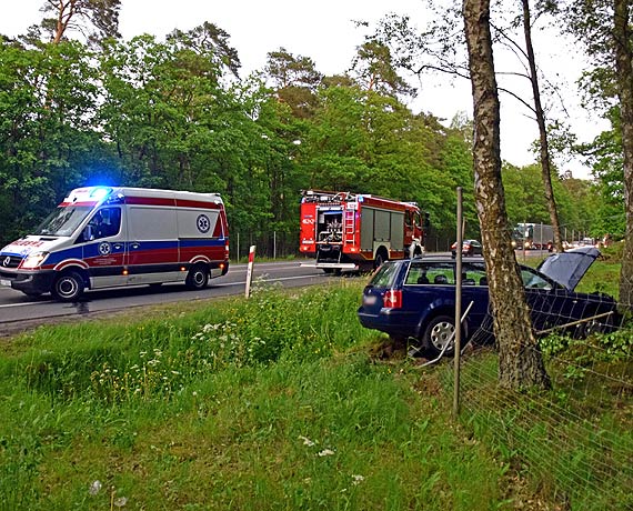 Mczyzna z promilami we krwi uderzy w drzewo. Ranni przewiezieni do szpitali