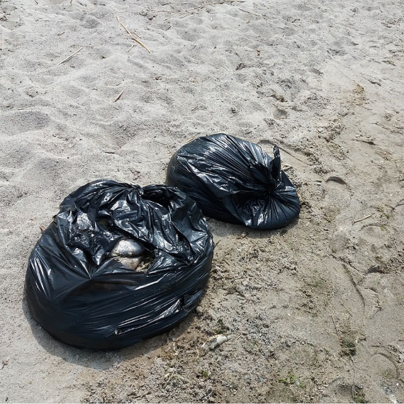 Urzędnicy przeprowadzili wizję lokalną na Jeziorze Wrzosowskim. Będą porządkować plażę