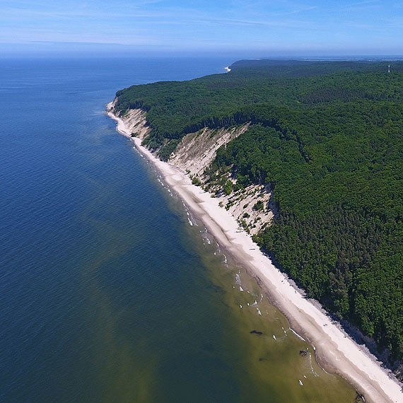 Bałtyk wyrzuca na brzeg martwe foki. Na ssaki natknięto się też na plażach w Międzyzdrojach, Dziwnówku i Łukęcinie