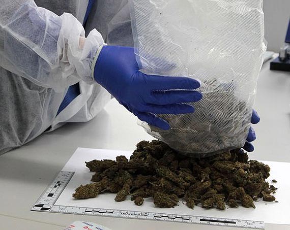 Policjanci zabezpieczyli ponad 3 kilogramy marihuany