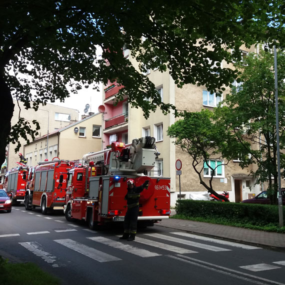 Zapomnia o gotujcym si kurczaku. Postawi na nogi 3 zastpy straakw 