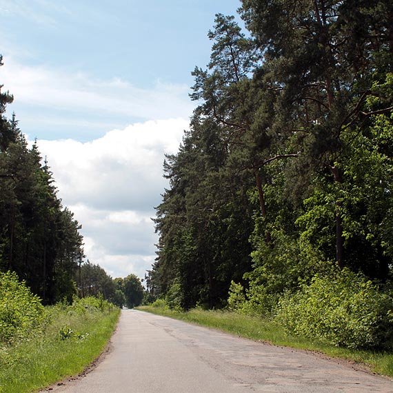 Potrzebne dwu- lub trójprzymierze