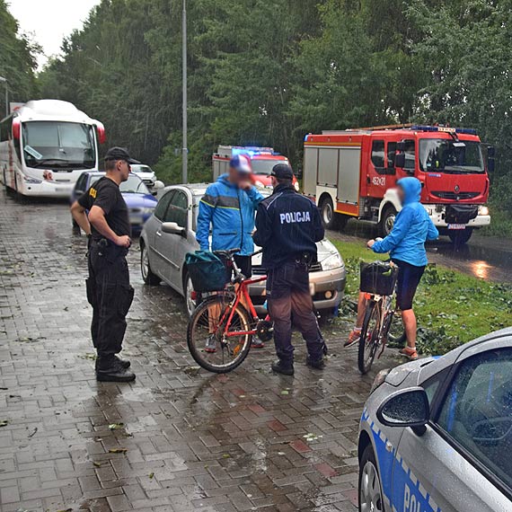 Wybrali si na wycieczk rowerow, a na ich samochd spado drzewo