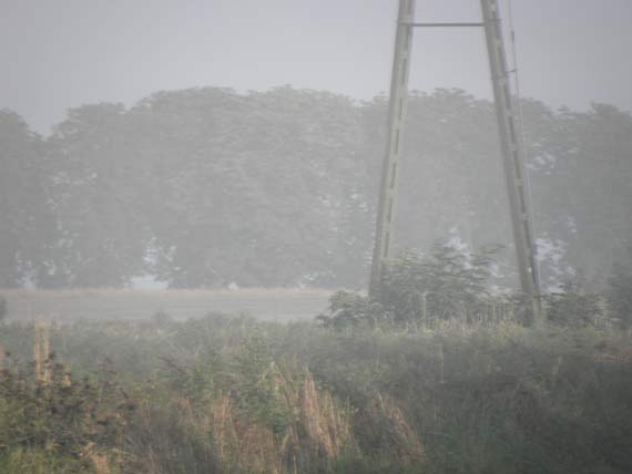 Czytelnik: „Spok�j jest tylko jak nie maj� ma�ych kurczak�w i nie pal�"