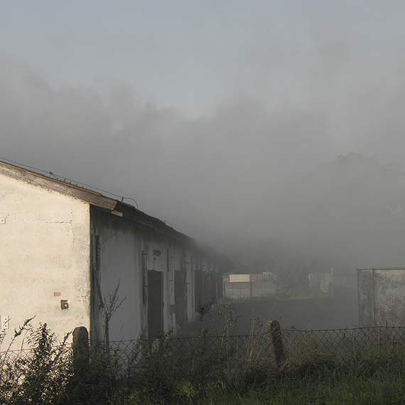 Czytelnik: „Spokój jest tylko jak nie mają małych kurczaków i nie palą"