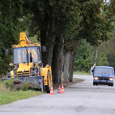Drogowcy uszkodzili drzewa przy oczyszczaniu pobocza
