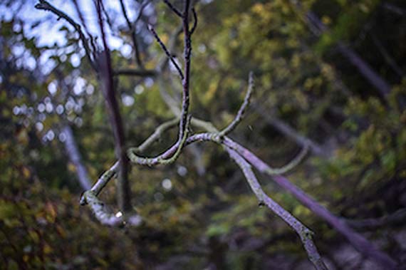 Woliński Park Narodowy oczami młodych fotografów
