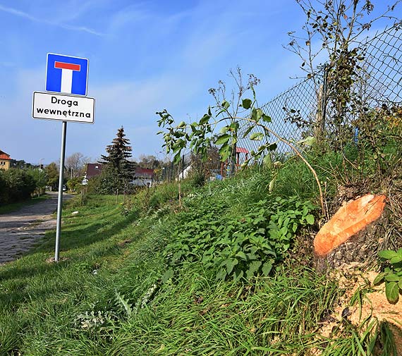 Nowe znaki drogowe w Lubinie do poprawki. „Pasy, linie, zygzaczki” wzbudzaj miech mieszkacw