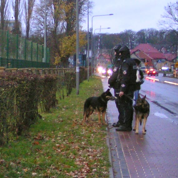 Kibice z Karlina jadący na mecz do Kamienia Pomorskiego pobłądzili w Gryficach