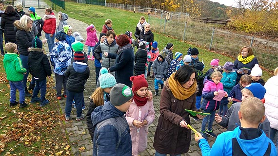 „Przyroda Wapnicy” 2017