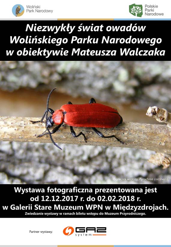 Nowa wystawa fotograficzna w Midzyzdrojach - Niezwyky wiat owadw WPN w obiektywie Mateusza Walczaka